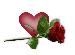 srdce s růží.gif